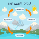 Water Cycle Learning Model